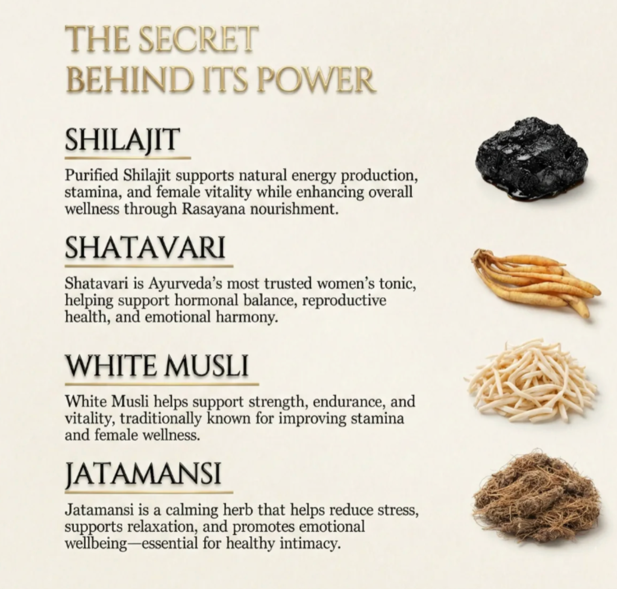 Alpha Shilajit Nabhi Oil || BUY 1 GET 1 FREE